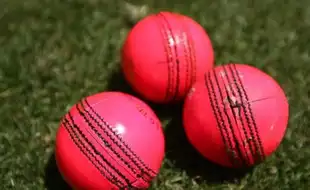 Explained: How Is Pink Ball Different From Red Ball And What Changes In Day-Night Test Matches